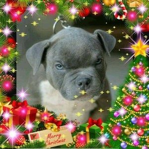 Meet your Posher, Noemy